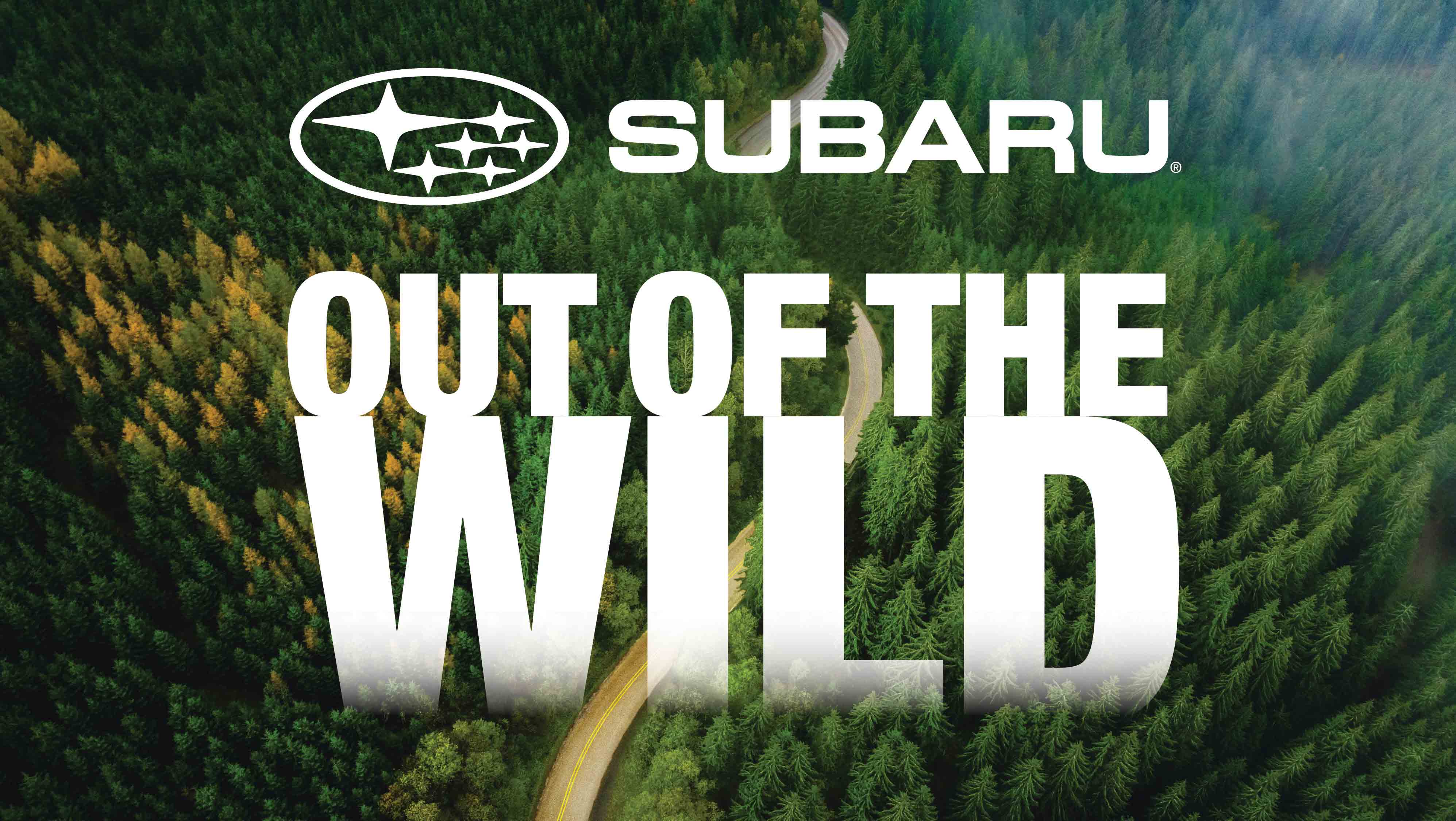 Subaru RTP Out of the Wild